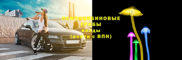 марки nbome Новозыбков