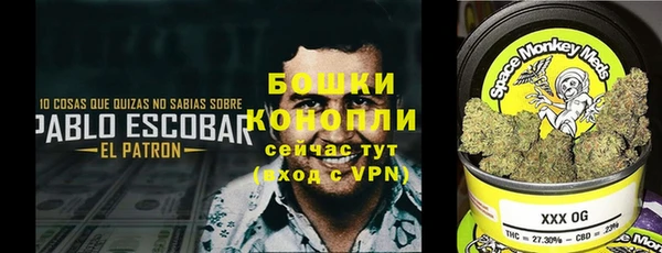 марки nbome Новозыбков
