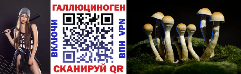 купить закладку  Поворино  Галлюциногенные грибы Psilocybe 